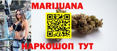 сатива Ставрополь