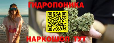 сатива Ставрополь