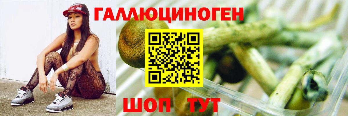 Псилоцибиновые грибы MAGIC MUSHROOMS Прохладный